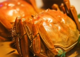 螃蟹變黑了還能吃嗎?螃蟹變黑了可以吃嗎?