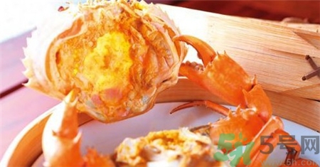 黃油蟹多少錢一斤?黃油蟹價格 黃油蟹多少錢一斤?黃油蟹價格