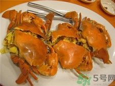 黃油蟹多少錢一斤?黃油蟹價格 黃油蟹多少錢一斤?黃油蟹價格