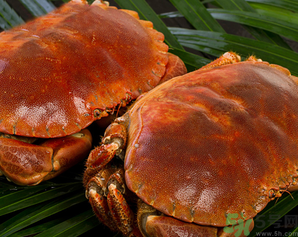 面包蟹死了還能吃嗎？面包蟹死了多久還能吃？