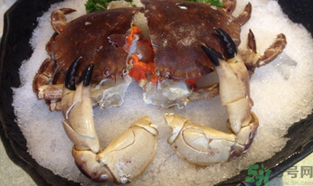 面包蟹怎么吃？面包蟹的吃法詳解