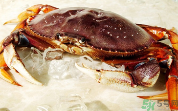 珍寶蟹多少錢一斤？珍寶蟹多少錢？