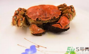 珍寶蟹和面包蟹的區(qū)別？珍寶蟹和面包蟹哪個好吃？