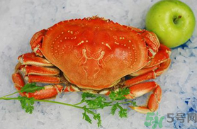 珍寶蟹和面包蟹的區(qū)別？珍寶蟹和面包蟹哪個好吃？