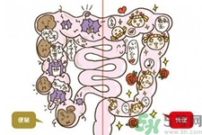 引起腸道老化的原因是什么？四種人腸道老化快