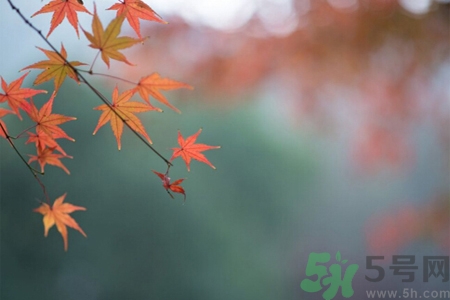 秋燥皮膚癢吃什么好？秋燥4妙招保護(hù)皮膚