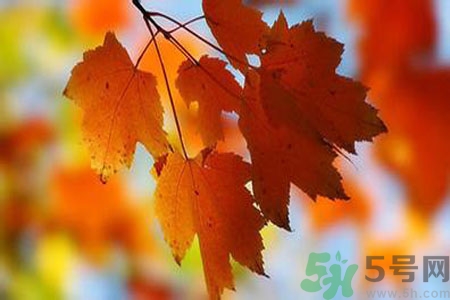 秋燥皮膚癢吃什么好？秋燥4妙招保護(hù)皮膚