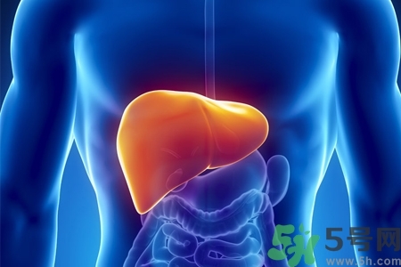 男性護(hù)肝的方法有哪些？養(yǎng)肝護(hù)肝必吃3大營(yíng)養(yǎng)素