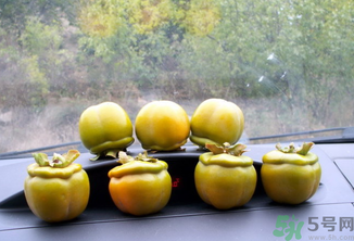 生柿子有毒嗎？生柿子吃了會怎樣？