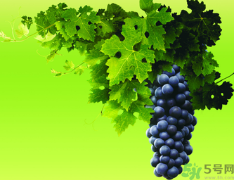 晚上吃葡萄好嗎？晚上吃葡萄好不好？