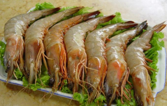 青蝦怎么做好吃？青蝦的做法大全