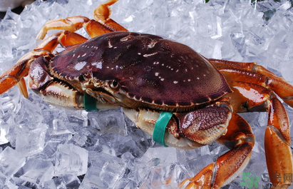 珍寶蟹多少錢一斤？珍寶蟹多少錢？