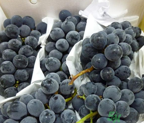 巨峰葡萄怎么保存？巨峰葡萄可以放多久？