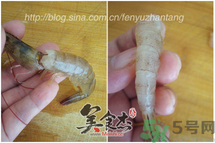 活蝦怎么處理干凈蝦線？活蝦怎么去蝦線？