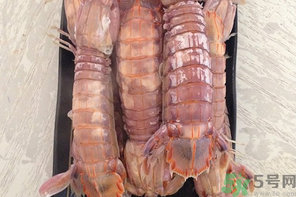 皮皮蝦蒸多長時間？皮皮蝦蒸多久？