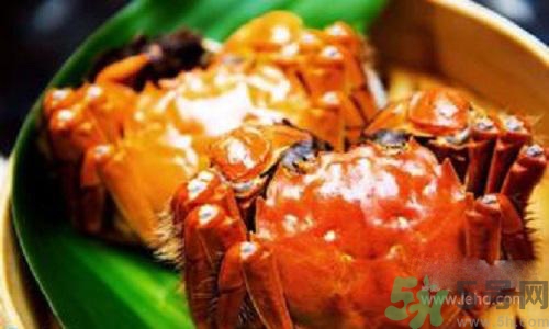 蟹膏是螃蟹的什么？蟹膏的營(yíng)養(yǎng)價(jià)值