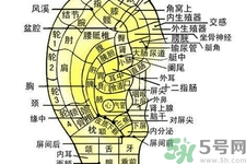 每天揉耳朵有什么好處？?揉耳朵的正確方法是什么？