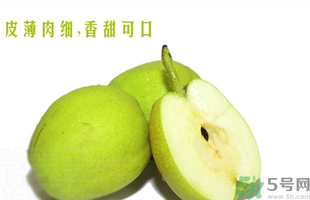 孕婦能吃香梨嗎？香梨孕婦可以吃嗎？