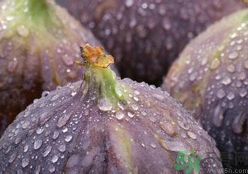 吃無花果要剝皮嗎？吃無花果皮有什么好處？