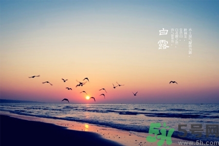 白露節(jié)吃什么？白露節(jié)的傳統(tǒng)美食有哪些？