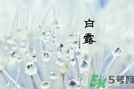 白露節(jié)吃什么？白露節(jié)的傳統(tǒng)美食有哪些？