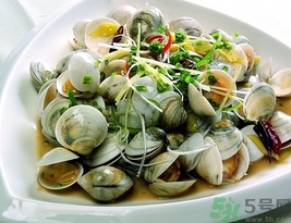 蛤蜊是花甲嗎？蛤蜊是花蛤嗎？