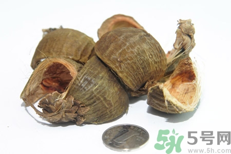 檳榔致癌嗎？檳榔對身體有什么影響嗎？