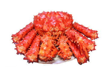 智利帝王蟹怎么吃？智利帝王蟹好吃嗎？