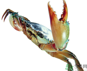 河蟹怎么保存？?活河蟹怎么保存？