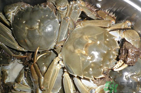 河蟹怎么保存？?活河蟹怎么保存？