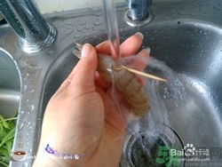 活蝦怎么處理干凈蝦線？活蝦怎么去蝦線？