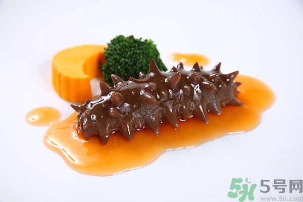 活海參和干海參哪個(gè)好？活海參好還是干海參好？