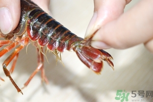 活蝦怎么處理干凈蝦線？活蝦怎么去蝦線？