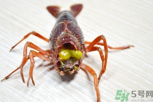 活蝦怎么處理干凈蝦線？活蝦怎么去蝦線？