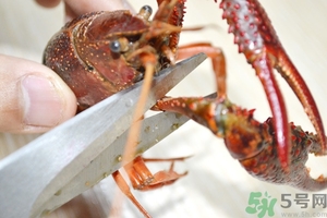 活蝦怎么處理干凈蝦線？活蝦怎么去蝦線？