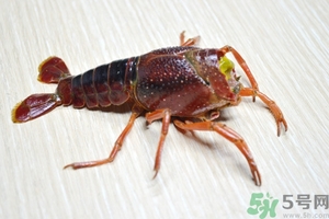 活蝦怎么處理干凈蝦線？活蝦怎么去蝦線？