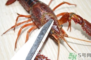 活蝦怎么處理干凈蝦線？活蝦怎么去蝦線？