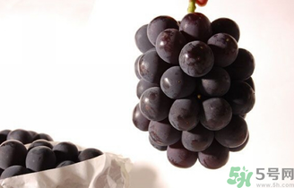 巨峰葡萄可以釀酒嗎？巨峰葡萄怎么做葡萄酒？