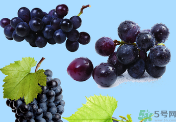 巨峰葡萄怎么打崔紅藥？葡萄怎么崔紅？