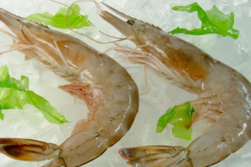 海蝦怎么保存？活海蝦怎么保存？