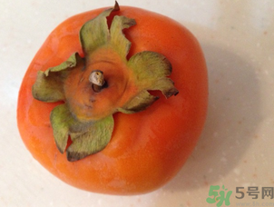 孕婦可以吃懶柿子嗎？懶柿子孕婦可以吃嗎？