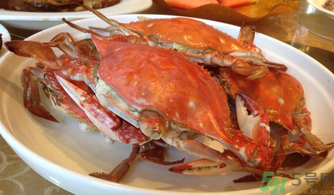 海蟹蒸多長時(shí)間？海蟹蒸多長時(shí)間最好吃？