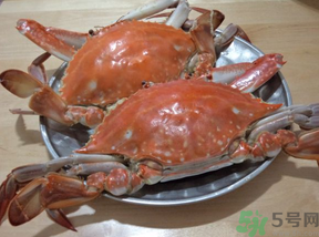 海蟹蒸多長時(shí)間？海蟹蒸多長時(shí)間最好吃？