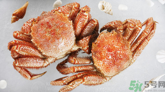紅毛蟹多少錢一斤？紅毛蟹價(jià)格