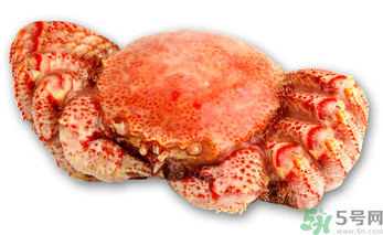 紅毛蟹多少錢一斤？紅毛蟹價(jià)格