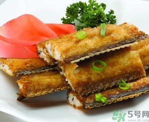 帶魚是發(fā)物嗎？手術(shù)后可以吃帶魚嗎？
