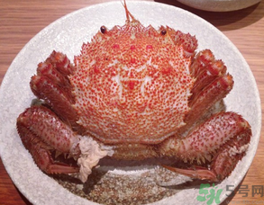 紅毛蟹怎么吃？紅毛蟹怎么做好吃？