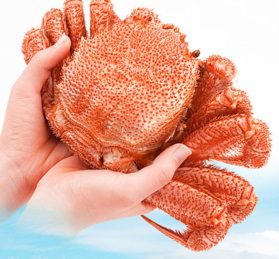 毛蟹怎么洗？毛蟹怎么去毛？