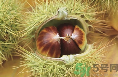 秋天吃板栗好嗎？秋天吃板栗有什么好處？