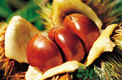 空腹能吃生板栗嗎？生吃板栗有什么好處？